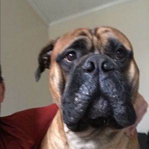 Meet your Posher, Aden